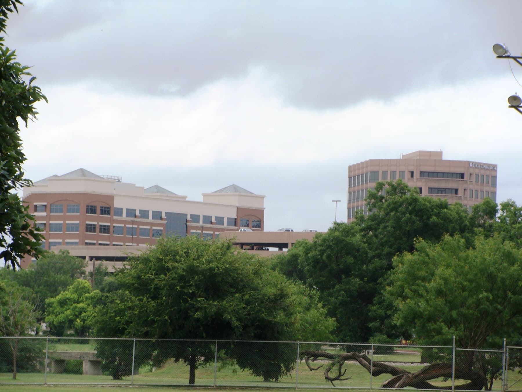 A view across buildings and trees in Alamo Heights