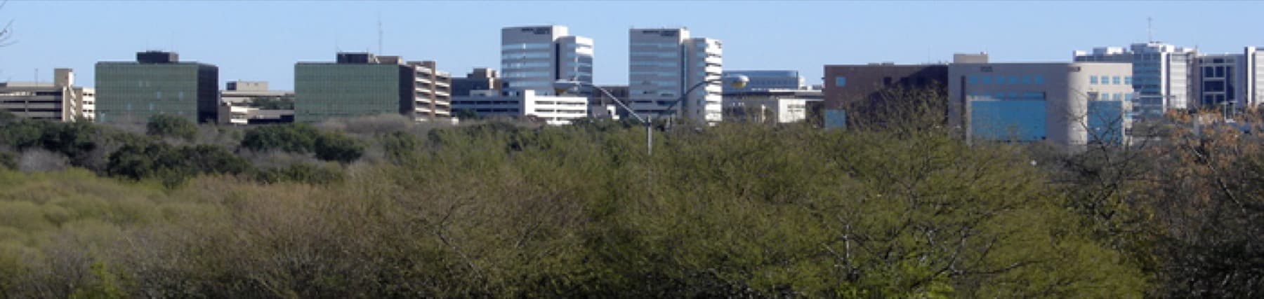 Panoramic view of the South Texas Medical Center skyline
