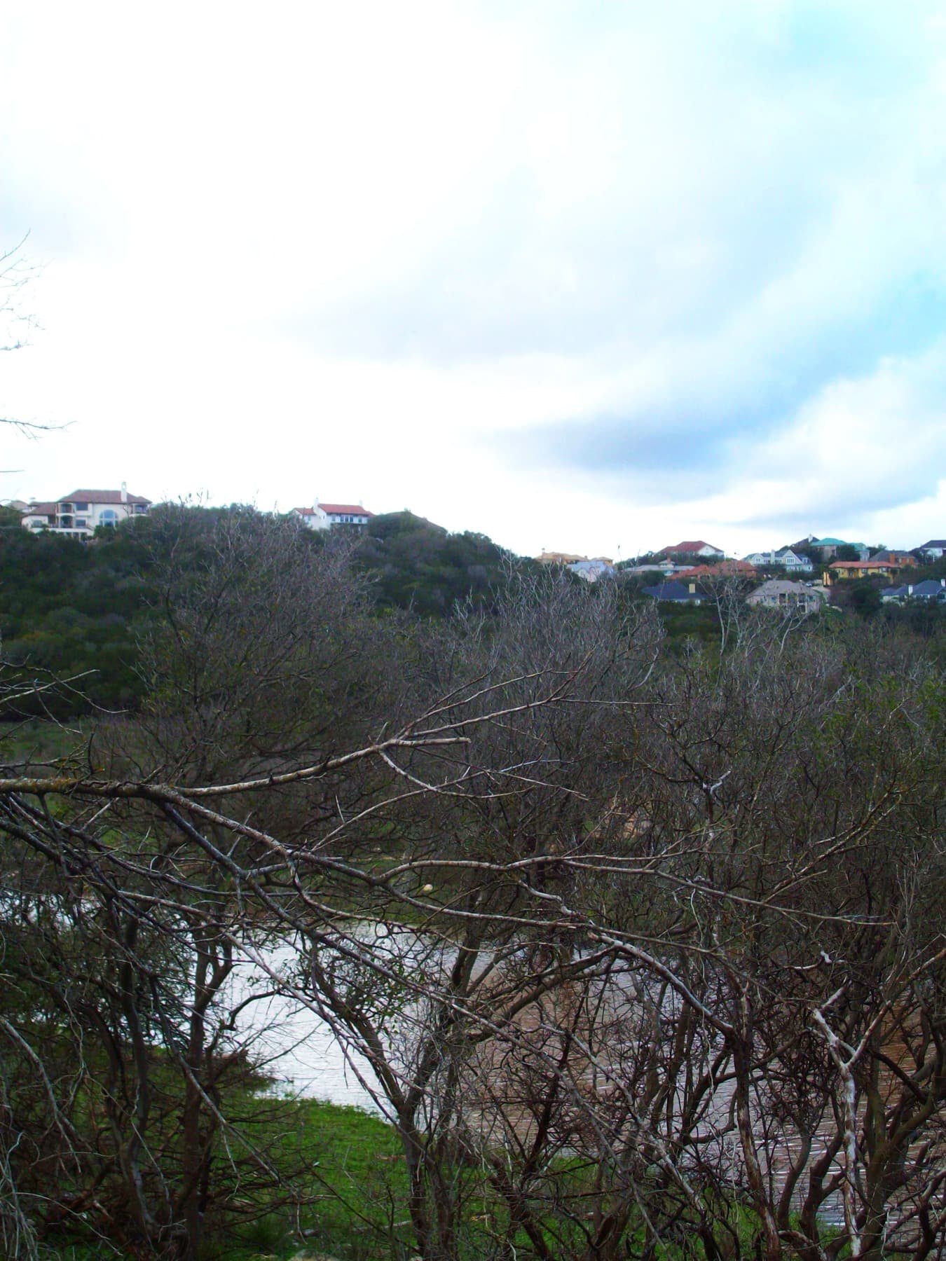 Tree-filled view over homes and hills near Stone Oak Park