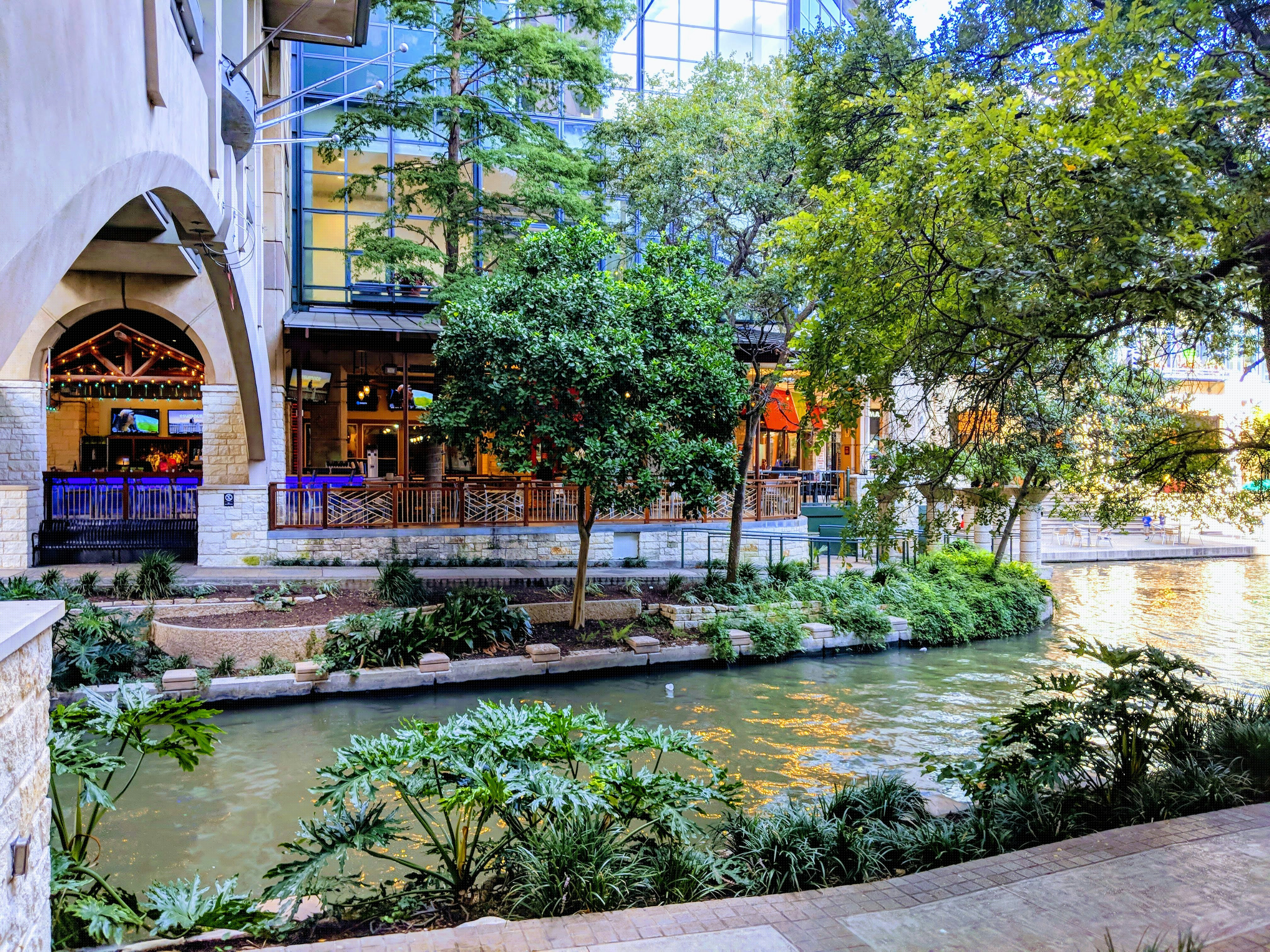 San Antonio River Walk lined with buildings and palms